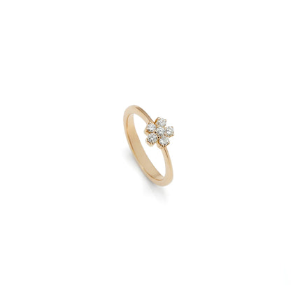Anillo de pequeño centro luminoso. Las garras visibles recortan el contorno del motivo superior.
