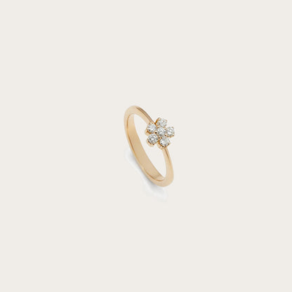 Anillo de pequeño centro luminoso. Las garras visibles recortan el contorno del motivo superior.