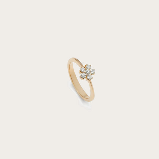 Anillo de pequeño centro luminoso. Las garras visibles recortan el contorno del motivo superior.
